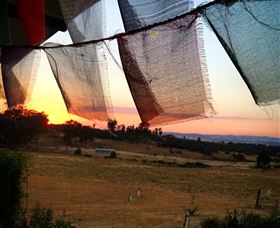Springview Eco-Farm - Tweed Heads Accommodation 4