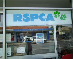 R.S.P.C.A Opportunity Shop - Tweed Heads Accommodation 0