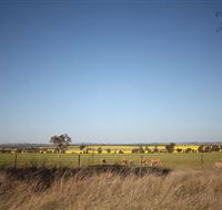 Cootamundra Bird Walk - Tweed Heads Accommodation