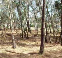 Chiltern-Mt Pilot National Park - Tweed Heads Accommodation
