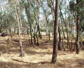 Chiltern-Mt Pilot National Park - Tweed Heads Accommodation 0