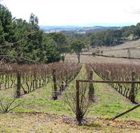 Habitat Vineyard - Tweed Heads Accommodation