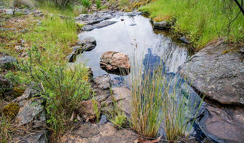 Hopetoun Falls Walking Track - Tweed Heads Accommodation 1