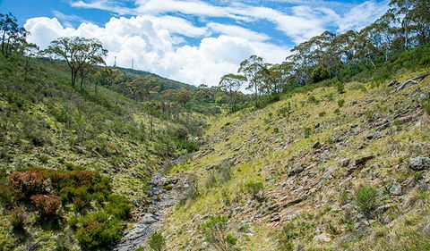 Hopetoun Falls Walking Track - Tweed Heads Accommodation 3