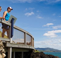 Mount Canobolas State Conservation Area - Tweed Heads Accommodation