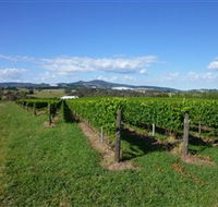 Hedberg Hill Wines - Tweed Heads Accommodation