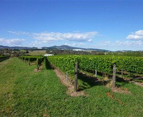 Hedberg Hill Wines - Tweed Heads Accommodation 0