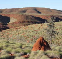 Camel Trail Millstream-Chichester National Park - Tweed Heads Accommodation