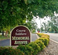 Memorial Avenue in Cowra - Tweed Heads Accommodation