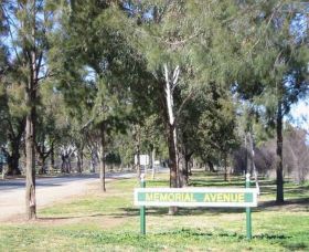 Memorial Avenue In Cowra - Tweed Heads Accommodation 1