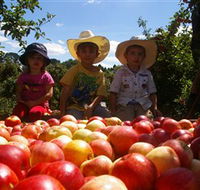 Bonny Glen Fruits - Tweed Heads Accommodation