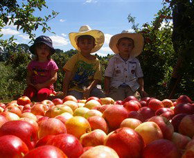 Bonny Glen Fruits - Tweed Heads Accommodation 0