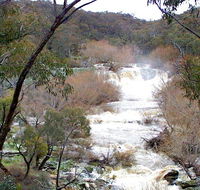Mullion Range State Conservation Area - Tweed Heads Accommodation