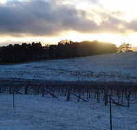Charles Sturt University Winery - Tweed Heads Accommodation