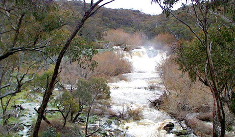 The Falls Water Falls - Tweed Heads Accommodation 0