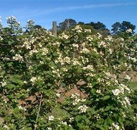 Huntley Berry Farm - Tweed Heads Accommodation