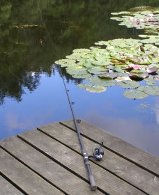 Orange NSW Tweed Heads Accommodation