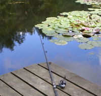 Ophir Reserve - Tweed Heads Accommodation