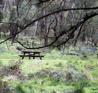 Fourth Crossing picnic area - Tweed Heads Accommodation