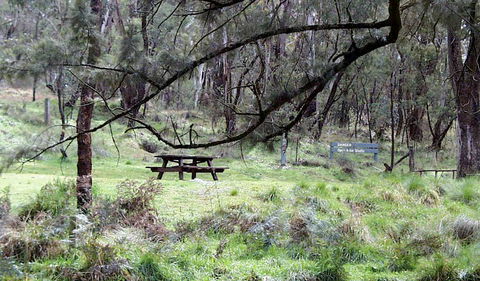 Fourth Crossing Picnic Area - Tweed Heads Accommodation 0