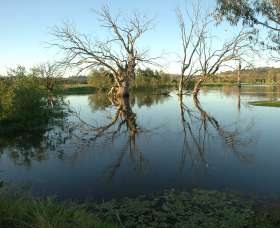 Wonga Wetlands - Tweed Heads Accommodation 4