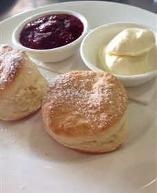 High Valley Cheese Co - Tweed Heads Accommodation 4