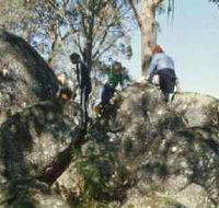 Mount Samaria State Park - Tweed Heads Accommodation