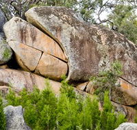 Frog Rock - Tweed Heads Accommodation
