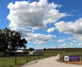 Short Sheep Micro-Winery - Tweed Heads Accommodation 8