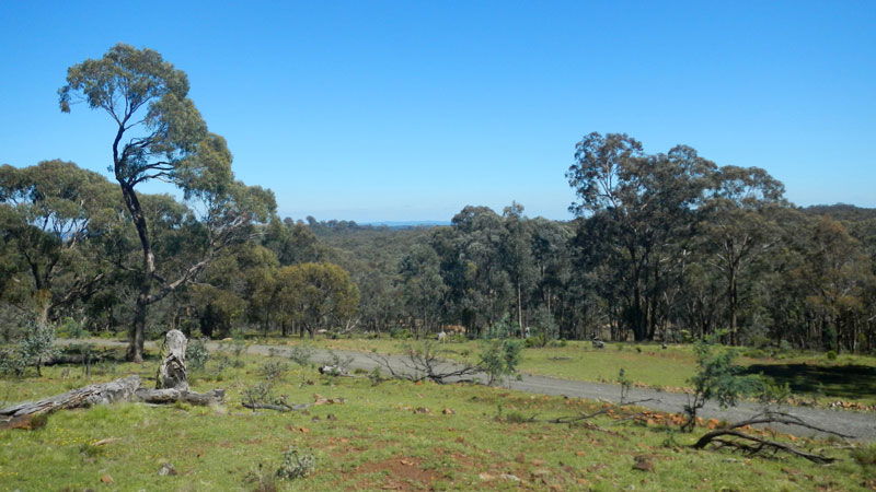 Hill End NSW Tweed Heads Accommodation