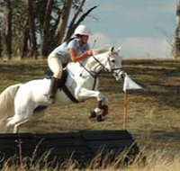 National Equestrian Centre - Kerrabee - Tweed Heads Accommodation