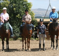 Forest Park Riding and Equitation School - Tweed Heads Accommodation