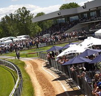 Thoroughbred Park Canberra Racing Club - Horse Racing in the Nations Capital - Tweed Heads Accommodation
