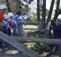 Harlow Park Horse Riding - Tweed Heads Accommodation