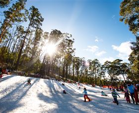 Corin Forest Mountain Resort - Tweed Heads Accommodation 1