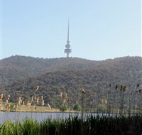 Black Mountain Peninsula - Tweed Heads Accommodation