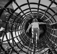 Pod Playground at the National Arboretum - Tweed Heads Accommodation