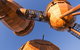 Pod Playground At The National Arboretum - thumb 3