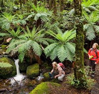 Baw Baw National Park - Tweed Heads Accommodation