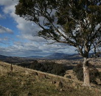 Urambi Hills - Tweed Heads Accommodation
