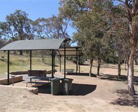 Remembrance Nature Park - Tweed Heads Accommodation 1