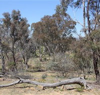 Remembrance Nature Park - Tweed Heads Accommodation