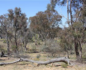 Remembrance Nature Park - Tweed Heads Accommodation 0