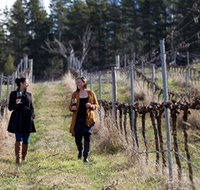 Mount Majura Vineyard - Tweed Heads Accommodation