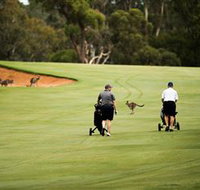 Federal Golf Club - Tweed Heads Accommodation