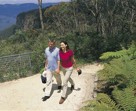 Blue Mountains Walking Tracks - Tweed Heads Accommodation 0