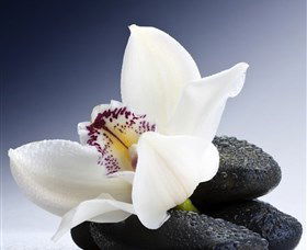 H2O Spa - Tweed Heads Accommodation 1