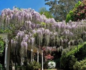 Mount Wilson NSW Tweed Heads Accommodation