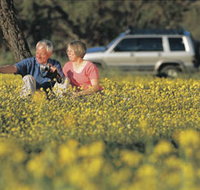 Coalseam Conservation Park - Tweed Heads Accommodation