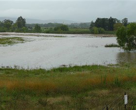 Jerrabomberra Wetlands - Tweed Heads Accommodation 1